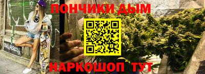 гидра Свободный
