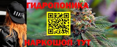 гидра Свободный