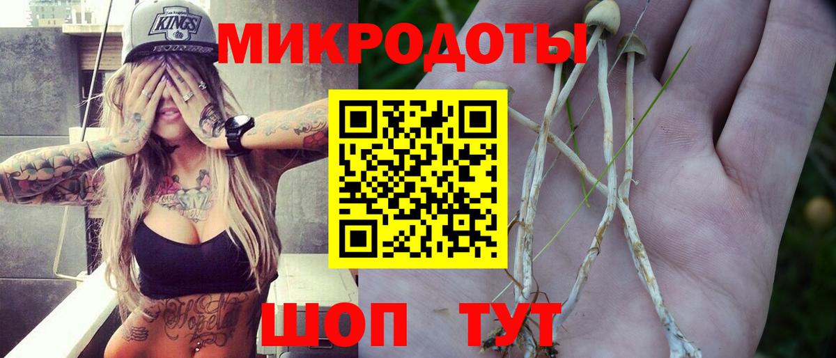 Галлюциногенные грибы GOLDEN TEACHER Глазов