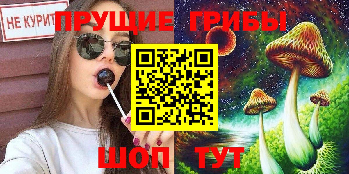 Галлюциногенные грибы Psilocybine cubensis  Вход с VPN  Глазов  Псилоцибиновые грибы мухоморы 